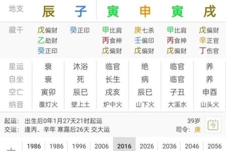 食神多的八字意味着什么？揭开命运的神秘面纱