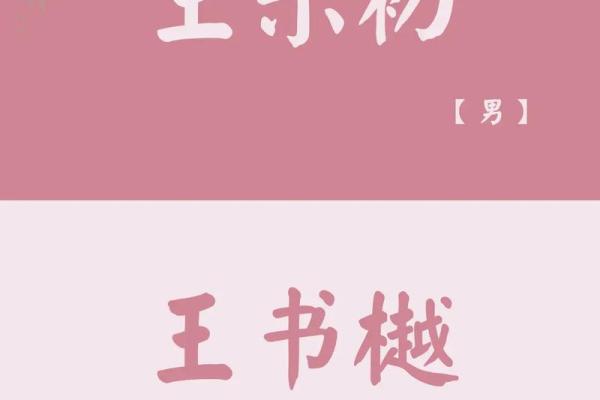 王姓宝宝楚辞起名灵感与精选建议 王姓宝宝楚辞起名灵感与精选建议