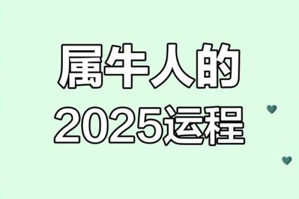 属牛人的整体运势如何?突破与挑战并存 属牛人的整体运势如何?突破与挑战并存
