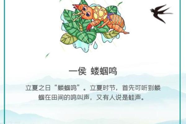 立夏来临，万年历带你揭秘夏季养生秘诀