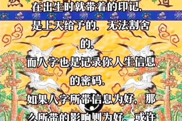 佛万年历:揭秘千年轮回,你的命运密码 佛万年历:揭秘千年轮回,你的命运密码