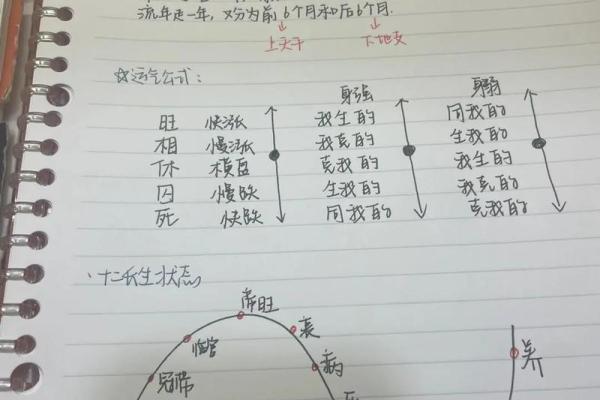 八字查格局:解密命运,看看你的未来如何发展 八字查格局:解密命运,看看你的未来如何发展