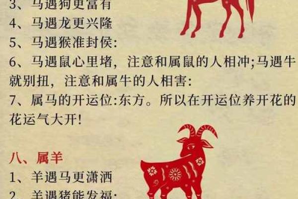 生肖命运大揭秘:财富、事业与感情的走向 生肖命运大揭秘:财富、事业与感情的走向