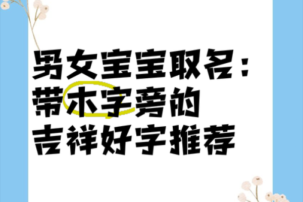 木字开头的公司起名创意与灵感分享 木字开头的公司起名创意与灵感分享