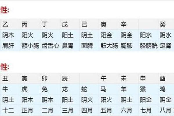 揭秘农历生辰八字，了解你的命运走向