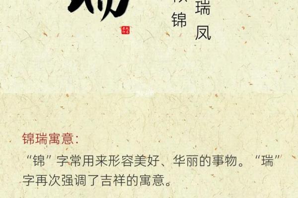 如何为许姓女孩起一个寓意深远的名字