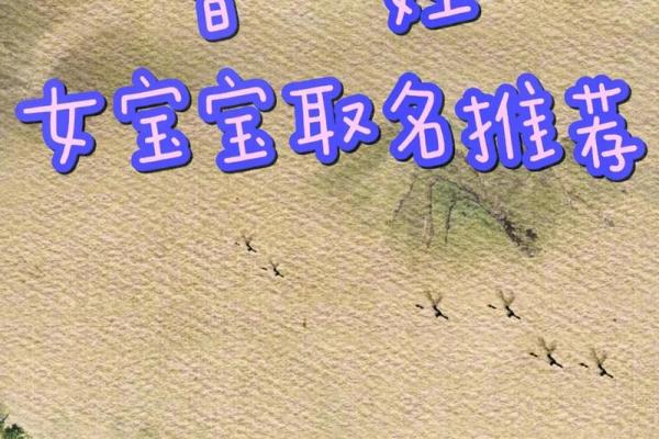 如何为曹姓宝宝取个寓意深远的名字 如何为曹姓宝宝取个寓意深远的名字