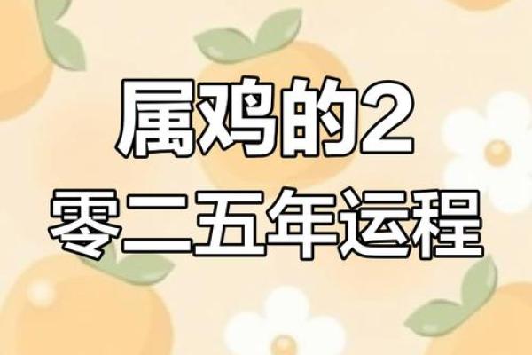 属鸡人运势大揭秘 属鸡人运势大揭秘