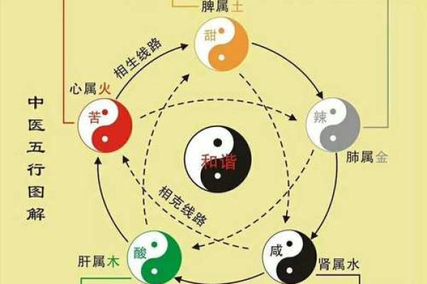 五行之官:揭开五行与命运的神秘联系 五行之官:揭开五行与命运的神秘联系
