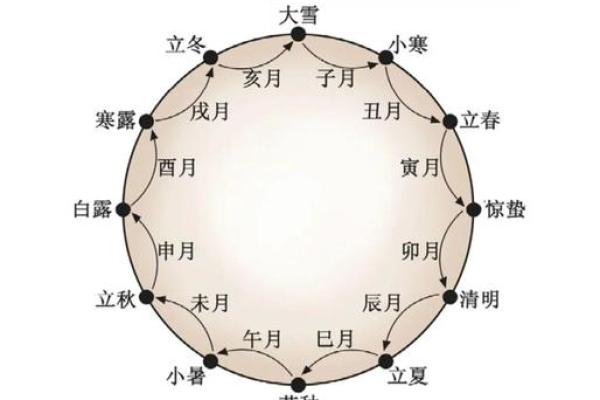 四季与五行的奇妙关系：你知道如何通过五行调整季节变化吗