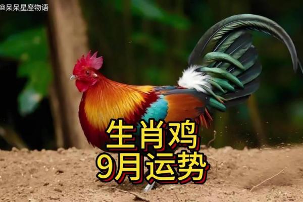 属鸡女性运势：机遇与挑战并存的关键时刻