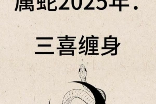 属蛇人的整体运程：如何把握运势改善生活
