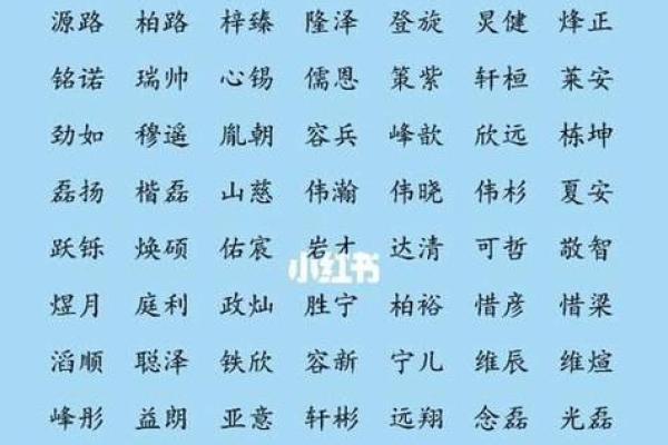梓字与男孩名字的完美搭配解析 梓字与男孩名字的完美搭配解析
