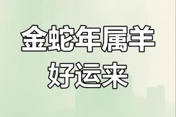 蛇年运程：事业、健康与财富的变化