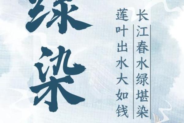 水木清华，寓意深远的名字灵感