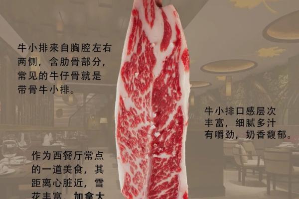 如何 最为具你的创牛意排的店牛取排店名字让你垂涎欲滴 如何 最为具你的创牛意排的店牛取排店名字让你垂涎欲滴