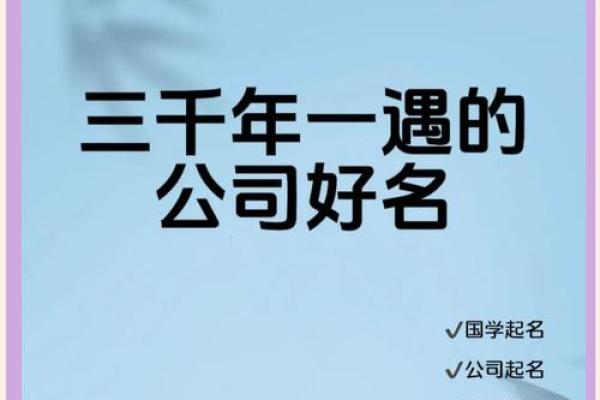 选择专业免费起名字公司打造独特品牌形象 选择专业免费起名字公司打造独特品牌形象