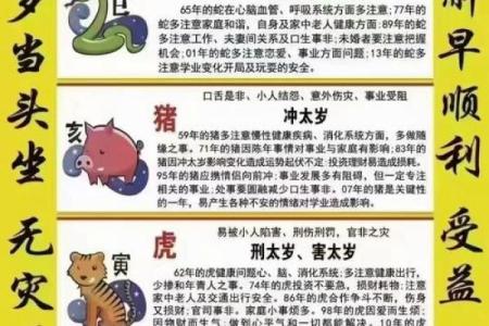 一岁宝宝死去风水禁忌解析及应对方法