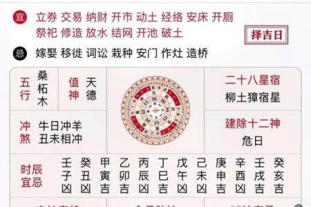 八字今日运势详解：属相在运程中的关键作用