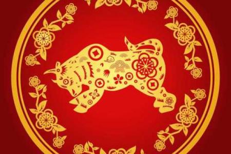 如何根据属虎的生肖特点调整办公室风水