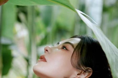 张柏芝生辰八字揭秘：如何影响她的命运与事业发展？