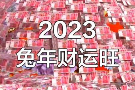 兔年猴运程大揭秘：财富与健康双重考验