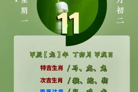 揭秘十二生肖与五行数字的神秘关联，你的命运藏在其中吗？