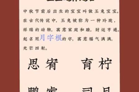 仝姓猴年宝宝起名宝典：为您的宝宝选择独特而有意义的名字