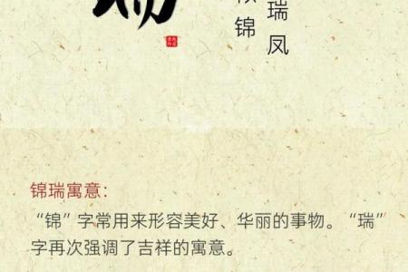 如何为许姓女孩起一个寓意深远的名字