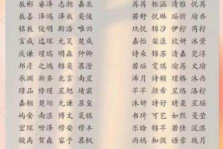 如何为猪年宝宝取个寓意深长的名字