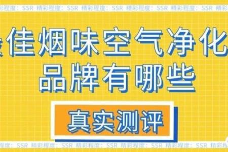 空气净化先锋环保公司名称创意推荐