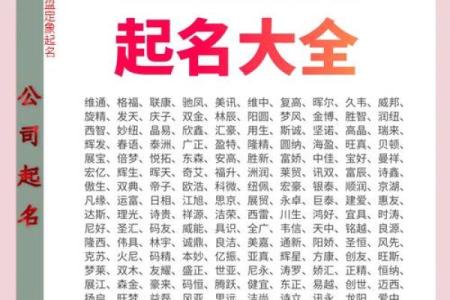 公司有有明起名的创意灵感与实施方案