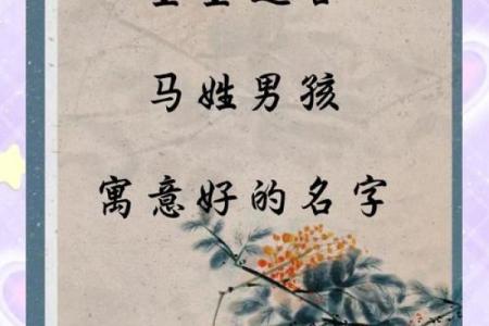 马宝宝命名指南：挑选适合的名字让他更有气质