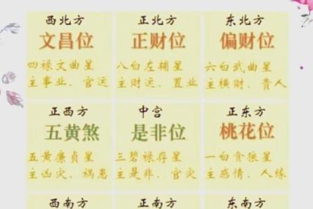 如何通过八字将星查询掌握人生运势秘诀