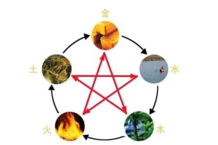 五行之官：揭开五行与命运的神秘联系