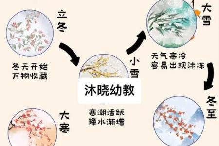 四季与五行的奇妙关系：你知道如何通过五行调整季节变化吗