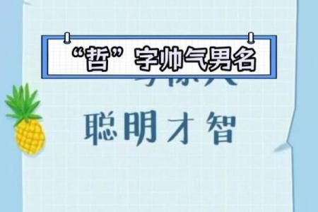 哲字在公司命名中的独特魅力与深远意义