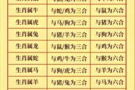 属龙运势：如何应对爱情与感情上的波动