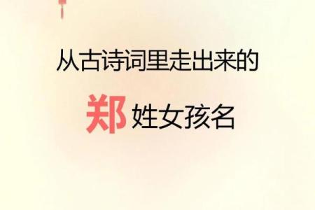 郑姓男孩名字大全：给孩子带来好运的名字推荐
