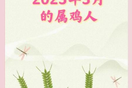 属鸡女性运势：机遇与挑战并存的关键时刻