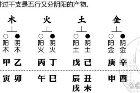 芓字五行解析：深入了解其五行属性与命理影响