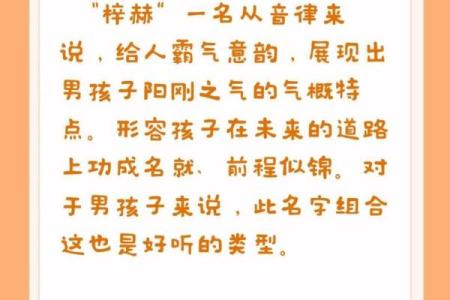 梓字与男孩名字的完美搭配解析