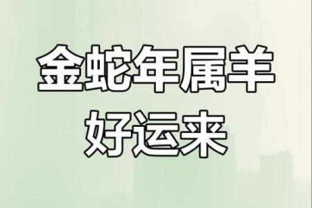 蛇年运程：事业、健康与财富的变化