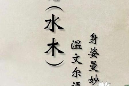 水木清华，寓意深远的名字灵感