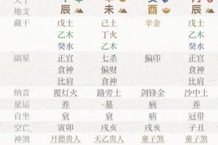 揭秘生辰八字日元：掌握这一点，你的命运将发生惊人变化！