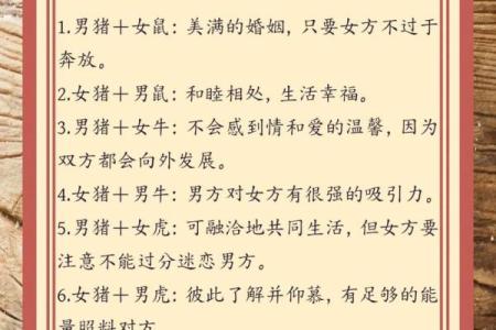 属猪的人五行属性是什么？揭秘你的命理特点