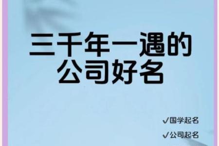 选择专业免费起名字公司打造独特品牌形象