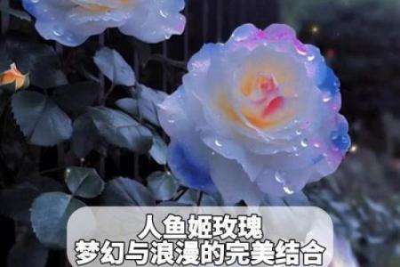 人鱼名字中的魔法与浪漫气息
