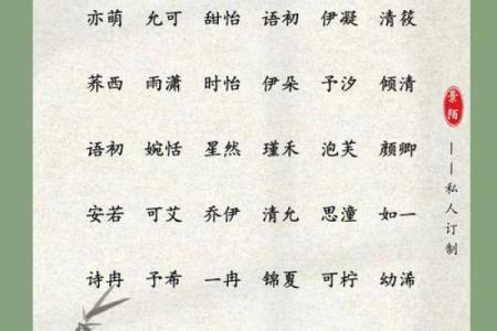 女孩名字的独特魅力与寓意探讨