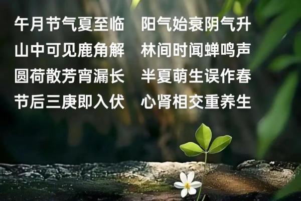 你知道吗?农历夏至的文化传承与现代意义 你知道吗?农历夏至的文化传承与现代意义